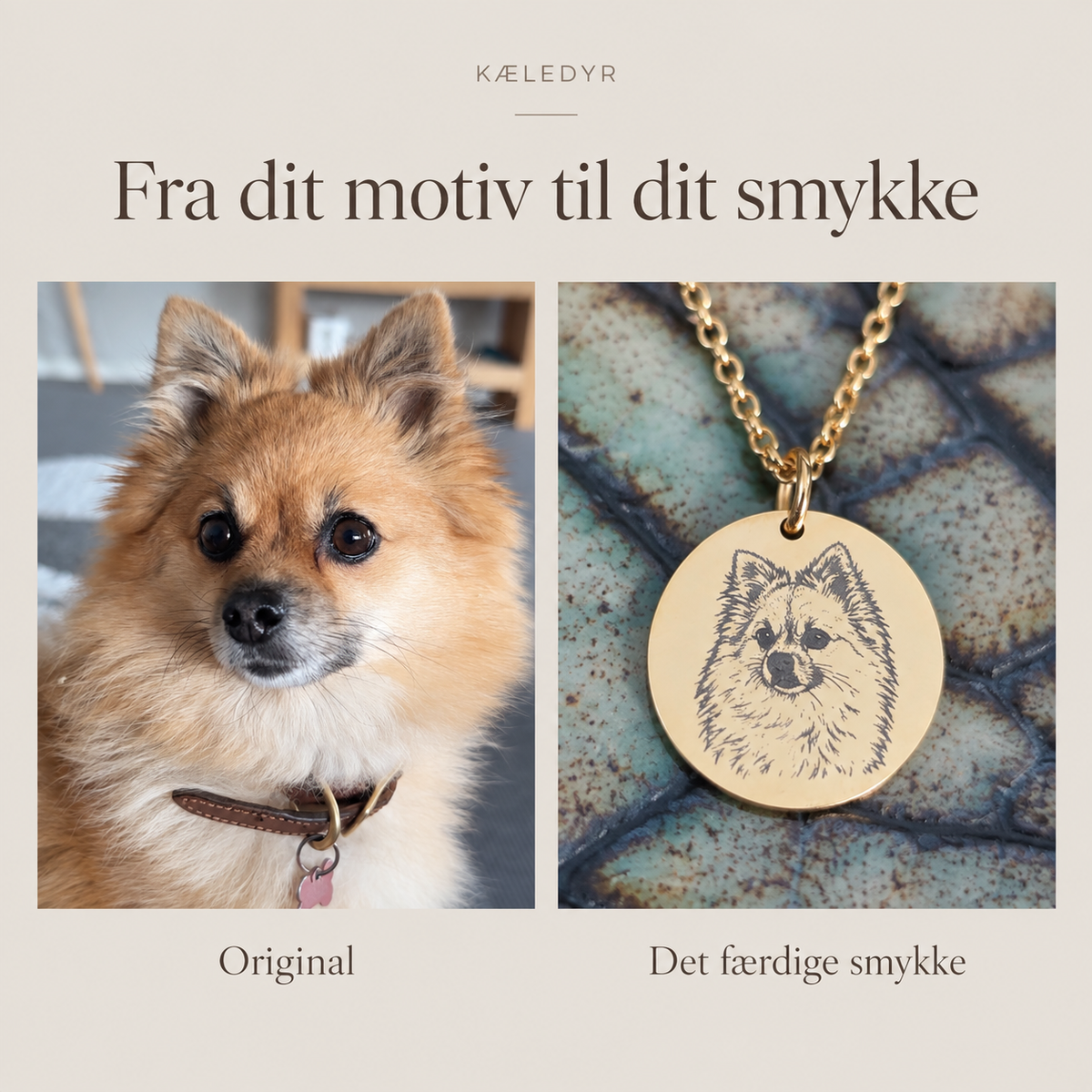 Kundexempel: Från hundfoto till personligt graverat halsband