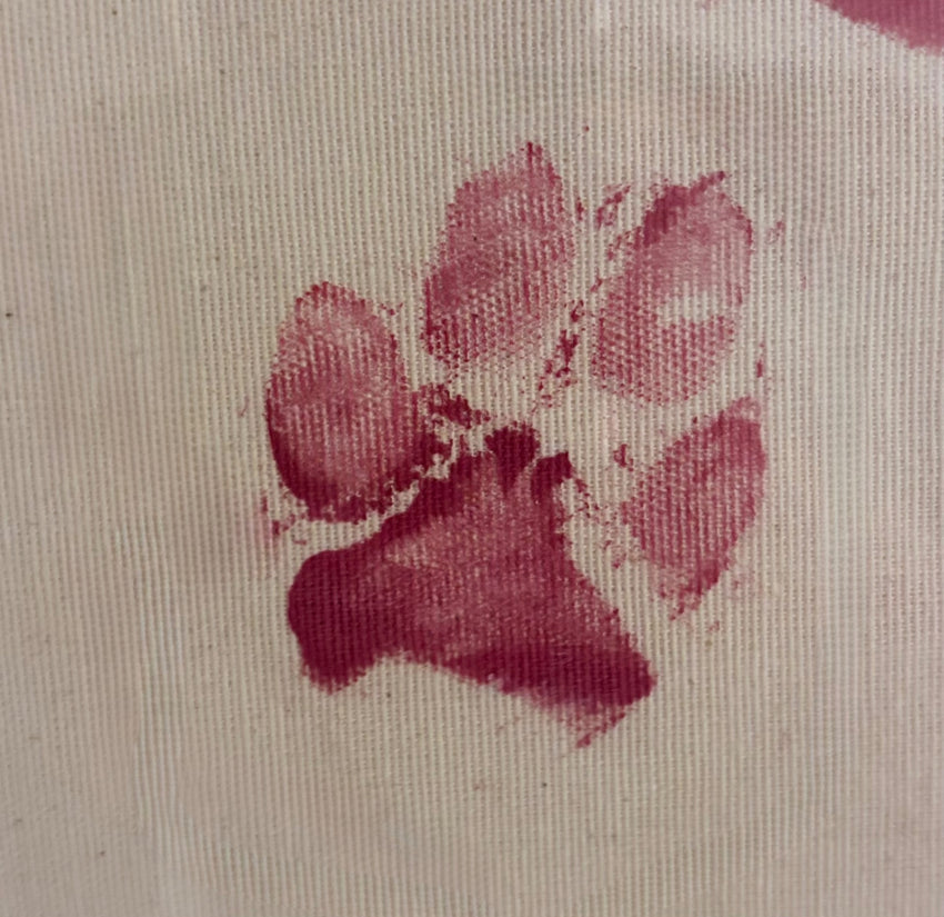 Kundens ursprungliga rosa tassavtryck på ljust tyg